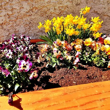 Near Katschberg Area Casa vacanze *