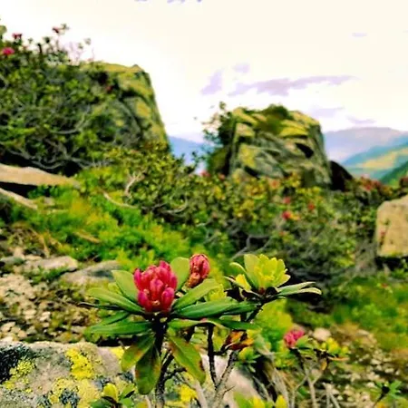 Near Katschberg Area