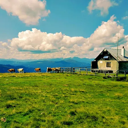 Alpine In Lungau 度假居 *