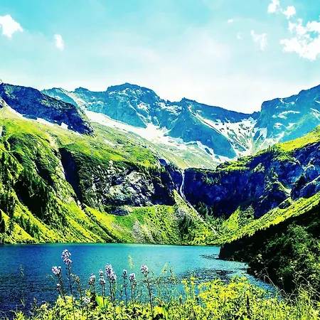 Alpine In Lungau *