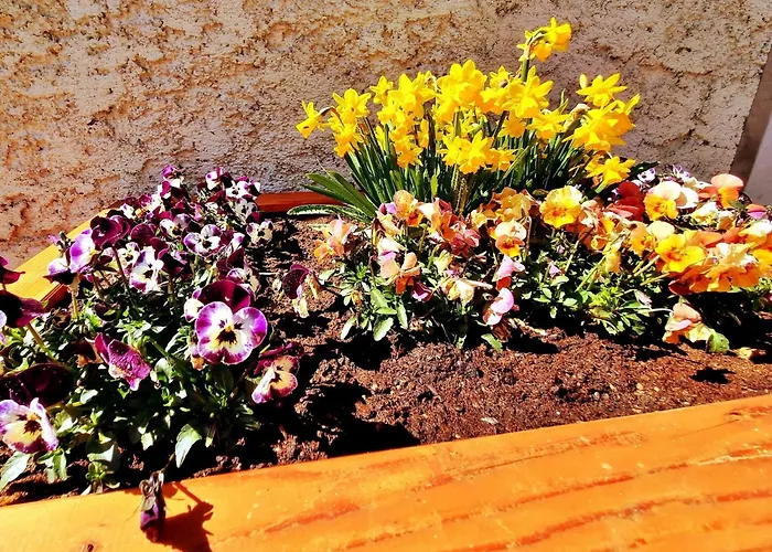 Alpine Holiday Home In Lungau Dom wakacyjny *