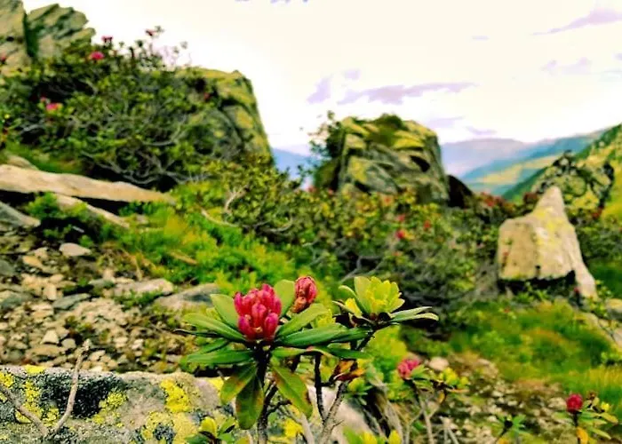 Near Katschberg Area