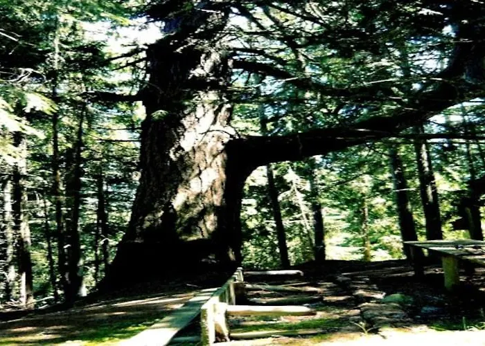 Дом отдыха Near Katschberg Area